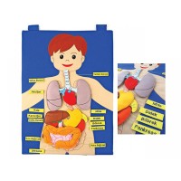 Cırtlı insan vücudu pano (ingilizce )