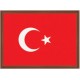 Türk Bayrağı 35*49