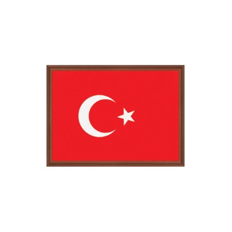 Türk Bayrağı 35*49